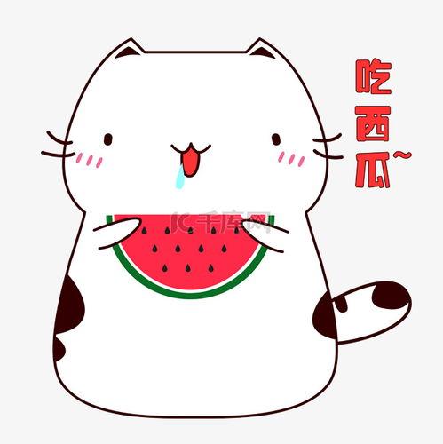 猫咪吃瓜素材视频,萌宠瓜界新势力