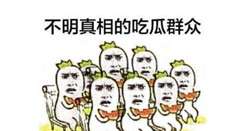 吃瓜群众正义使者,揭秘网络舆论背后的真相