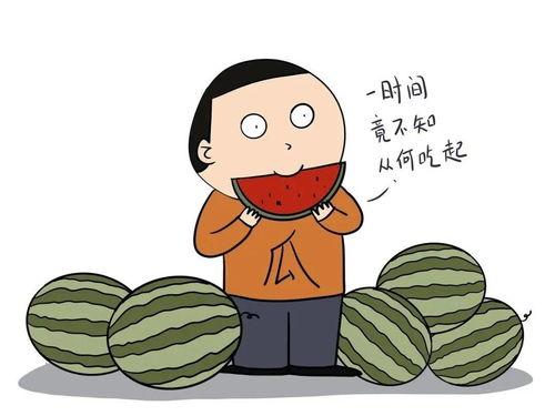 你们吃瓜都去哪里吃的图片,跟随图片探寻美食之旅