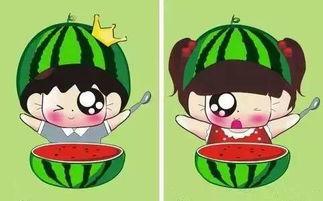 哆啦美吃瓜,揭秘神奇宝贝世界的美食奇遇