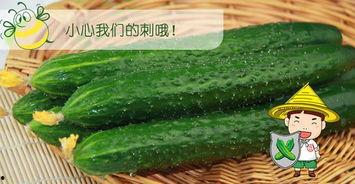 无套路吃瓜
